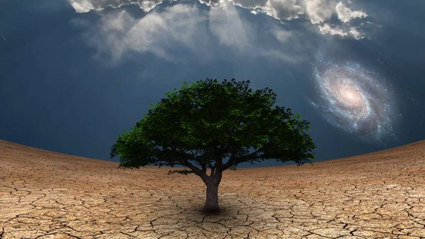 超现实主义 干旱土地上的绿树 蓝天银河 — 图库照片