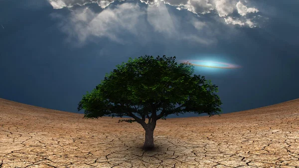 超现实主义 干旱土地上的绿树 蓝天中的银河盘 — 图库照片
