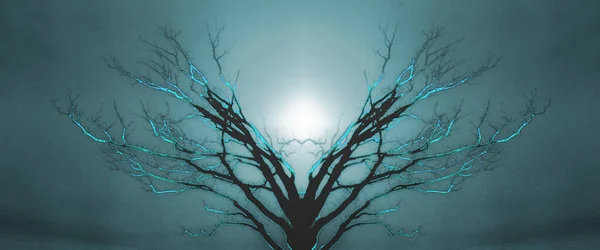 神秘的な生命の木 日没または日の出 — ストック写真