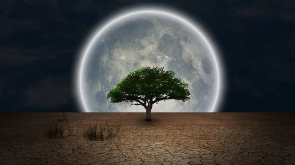 Surrealismo Árbol Verde Tierra Árida Luna Llena Cielo Nocturno —  Fotos de Stock