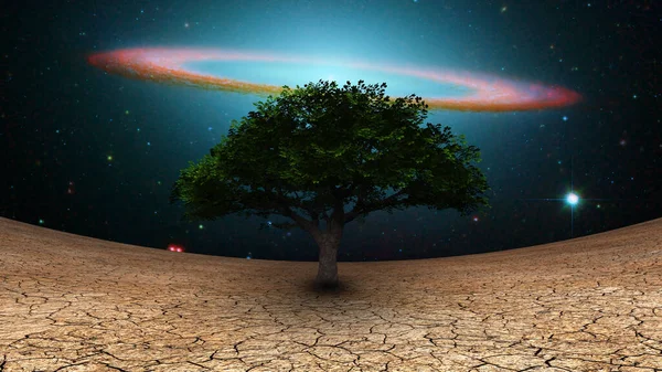 超现实主义 干旱土地上的绿树 夜空中的银河盘 — 图库照片