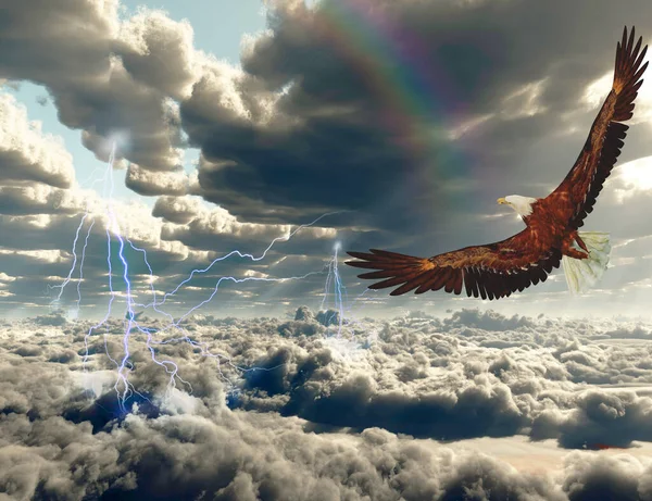 Águila Sobre Campos Nubes —  Fotos de Stock