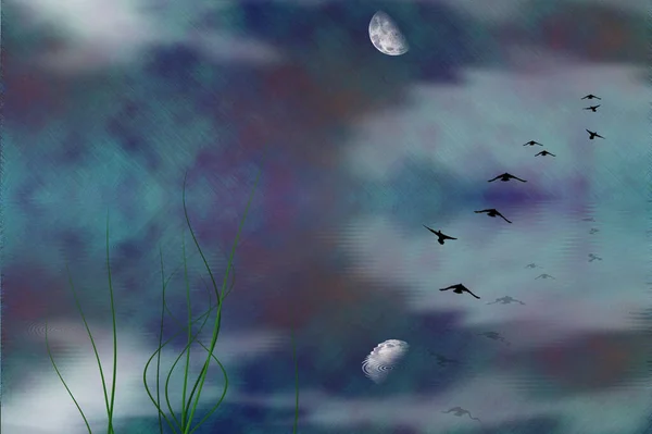 Painterly Marsh Landscape Moon Flying Birds — Stock Photo, Image