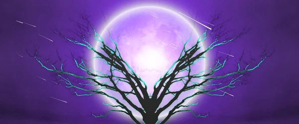 Mystischer Baum Mondlicht — Stockfoto