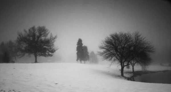 Paisagem Inverno Com Árvores Sem Folhas Margem Lago — Fotografia de Stock