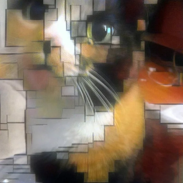 Современное Искусство Симпатичный Кот Круглыми Глазами — стоковое фото