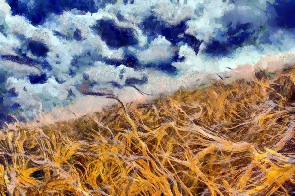 Impressionismo Pittura Campo Grano — Foto Stock