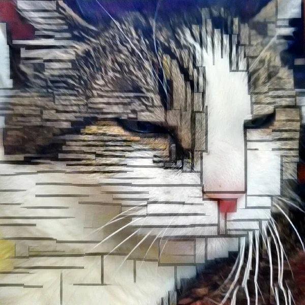 Moderne Kunst Schlafende Katze Aus Nächster Nähe — Stockfoto