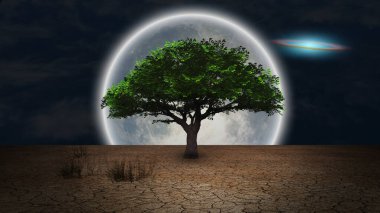 Sürrealizm. Kurak topraklarda yeşil ağaç. Gece gökyüzünde dolunay ve galaksi diski.