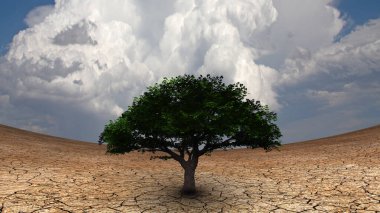 Sürrealizm. Kurak topraklarda yeşil ağaç.