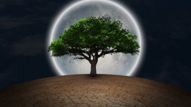 Sürrealizm. Kurak topraklarda yeşil ağaç. Gece gökyüzünde dolunay.