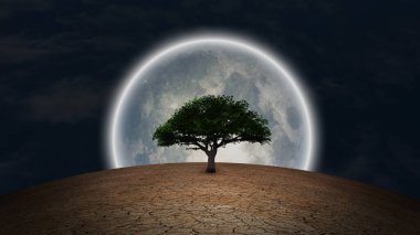 Sürrealizm. Kurak topraklarda yeşil ağaç. Gece gökyüzünde dolunay.