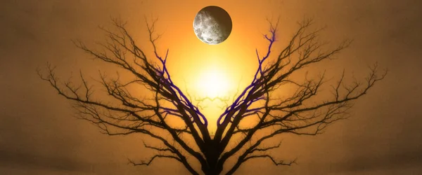 Mystischer Baum Des Lebens Mond Himmel Sonnenuntergang Oder Sonnenaufgang — Stockfoto