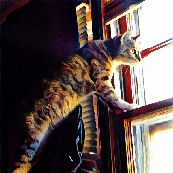 Сучасне Мистецтво Кіт Дивиться Через Вікно — стокове фото