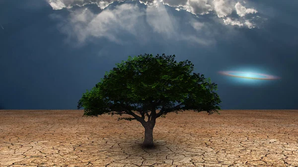 Surrealismo Árbol Verde Tierra Árida Disco Galáctico Cielo Azul —  Fotos de Stock