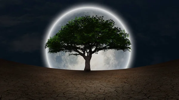 Surrealism Green Tree Arid Land Full Moon Night Sky — Stock Photo, Image