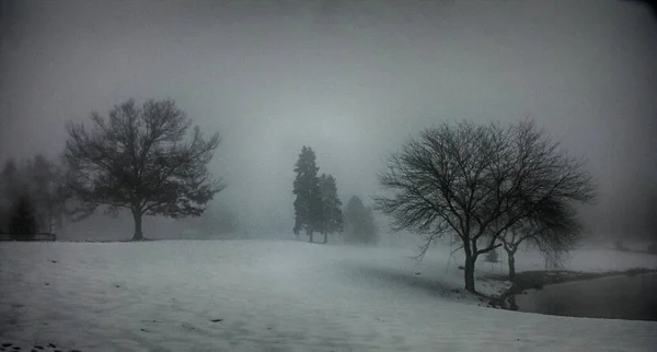 Paisaje Invernal Con Árboles Sin Hojas Orilla Del Lago — Foto de Stock