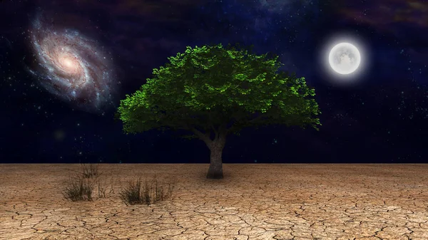 超现实主义 干旱土地上的绿树 夜空中的满月和星系 — 图库照片