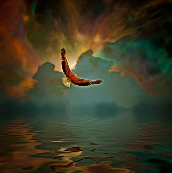 超现实主义 鹰在五彩斑斓的天空中掠过水面 — 图库照片