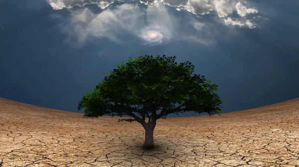 超现实主义 干旱土地上的绿树 蓝天银河 — 图库照片