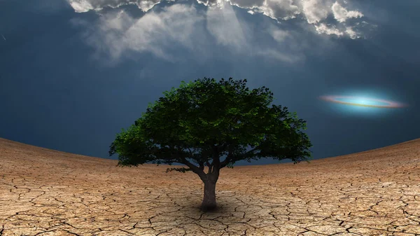 Surrealism Green Tree Arid Land Galactic Disk Blue Sky — Stock Photo, Image