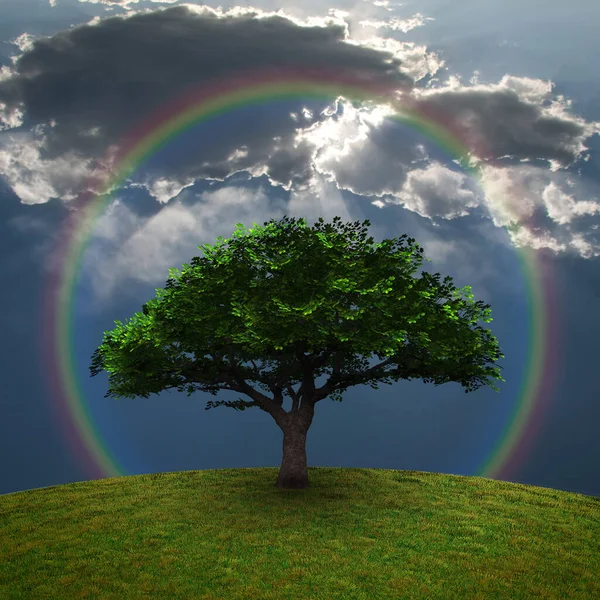 Zielone Drzewo Dramatyczne Chmury Tęcza Renderowanie — Zdjęcie stockowe