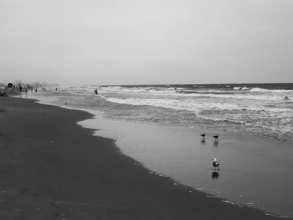 Beautiful View Sandy Sea Beach Cloudy Day — Foto Stock