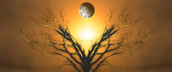 生命の神秘的な木 空には月 夕日や日の出 — ストック写真