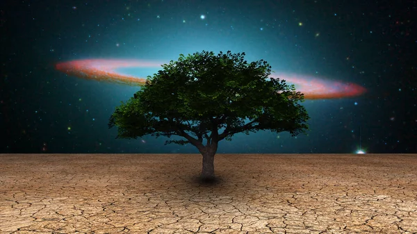 Surrealizm Zielone Drzewo Suchej Ziemi Galaktyczny Dysk Nocnym Niebie — Zdjęcie stockowe