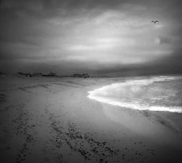 海岸沿いの小さな集落 空のカモメ — ストック写真