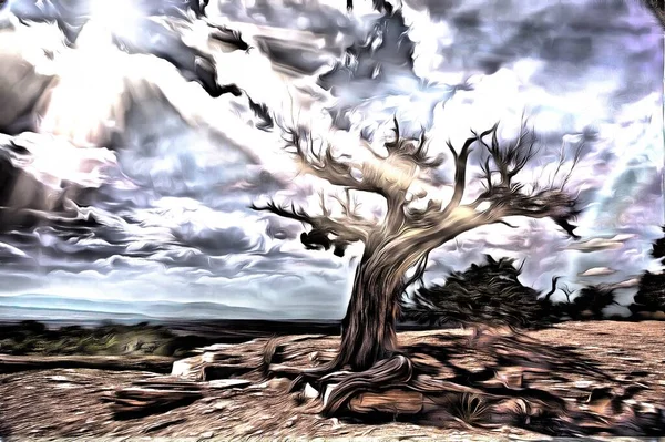 Абстрактная Живопись Старое Дерево Стоит Каменистой Земле Солнечные Лучи Проходят — стоковое фото