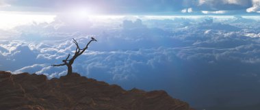 Gün doğumu. Kuru daldaki kuş.