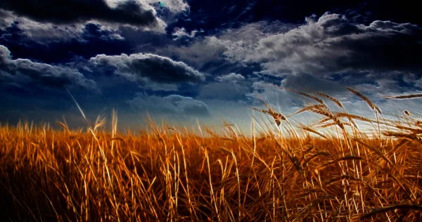 Campo Céu Renderização — Fotografia de Stock