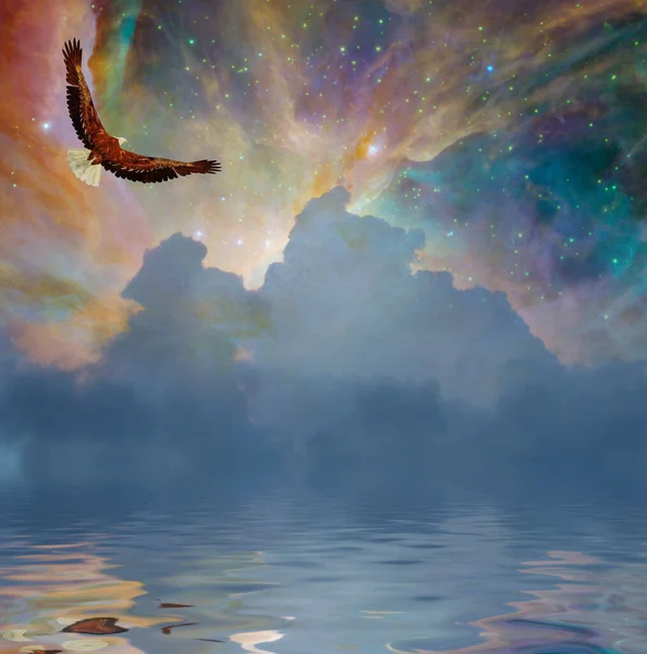 Kartal Yıldızların Altında Uçar Görüntüleme — Stok fotoğraf