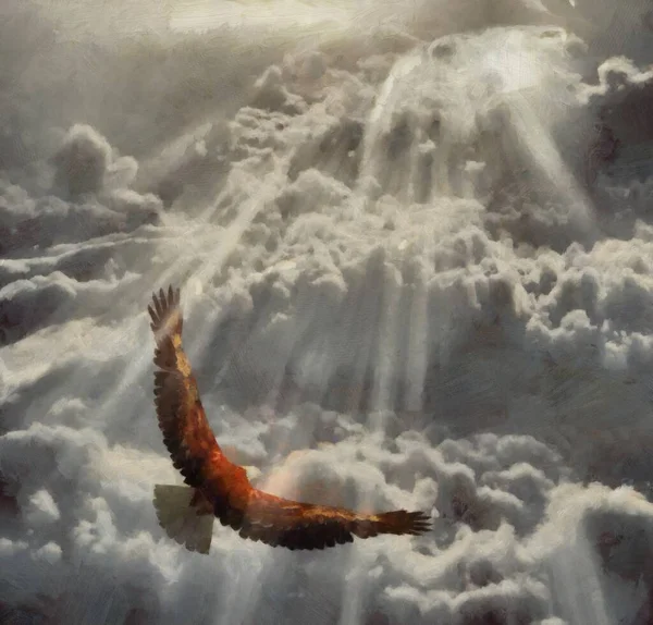 Αετός Πετάει Στον Συννεφιασμένο Ουρανό Απόδοση — Φωτογραφία Αρχείου