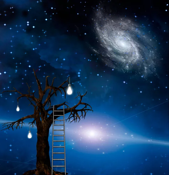 Ladder Leans Tree Wisdom Background — Stock Photo, Image