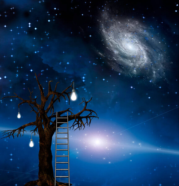 Ladder leans on tree of wisdom background