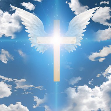 Kanatlı haç. 3B görüntüleme