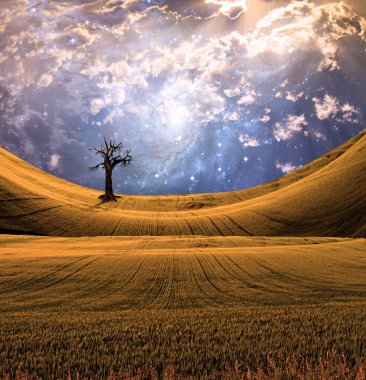 dramatik gökyüzü ile sakin manzara