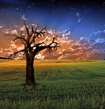 Gerçeküstü Günbatımı Sahası. 3B görüntüleme