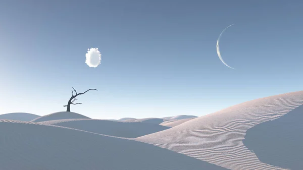 Albero Appassito Nel Paesaggio Desertico Ispirato Allo Zen — Foto Stock