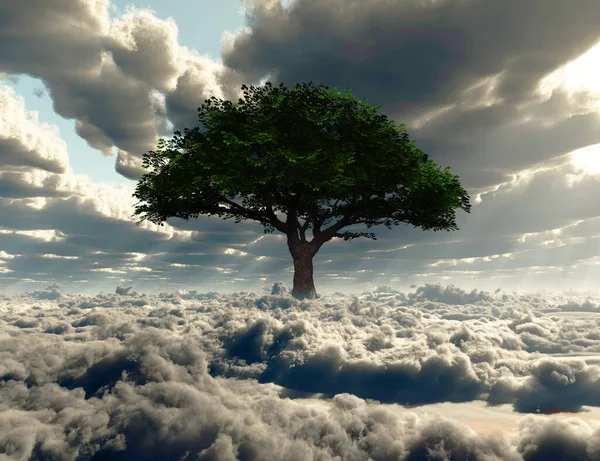 Groene Boom Een Wolkenveld Weergave — Stockfoto