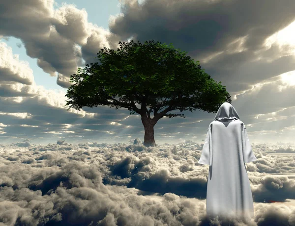 Figure White Cloak Stands Field Clouds — Stock Photo, Image