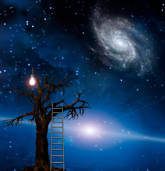 Ladder leans on tree of wisdom
