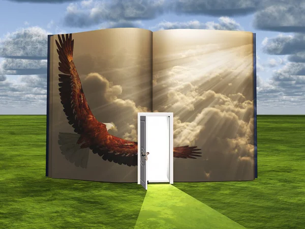 超现实主义 有打开的门和飞鹰的书 — 图库照片