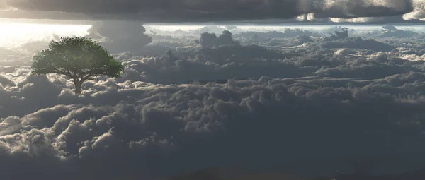 Západ Slunce Zelený Strom Vykreslování — Stock fotografie