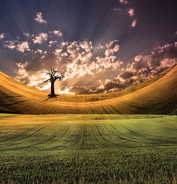 Paesaggio Sereno Con Cielo Drammatico — Foto Stock