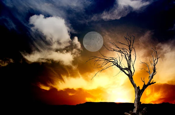 Old Tree Moon Rendering — Stock Photo, Image