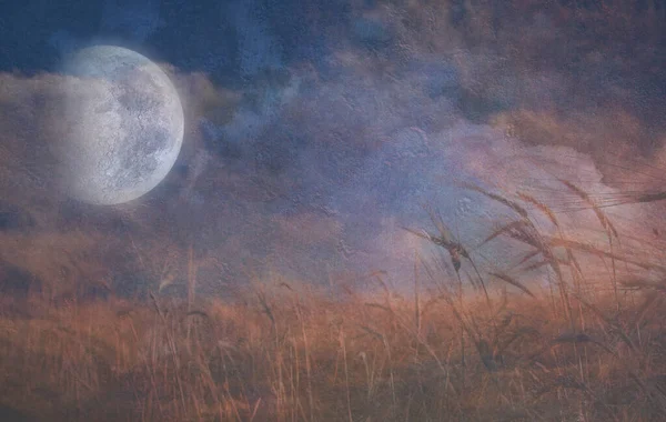 Φεγγάρι Πέφτει Πάνω Από Πεδίο Του Σιταριού — Φωτογραφία Αρχείου