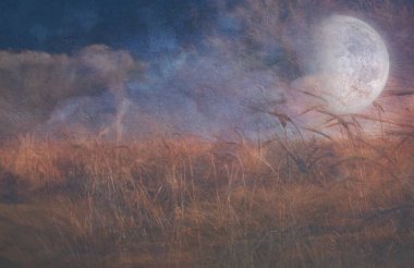 Ay, Tahıl Tarlasına Düşüyor